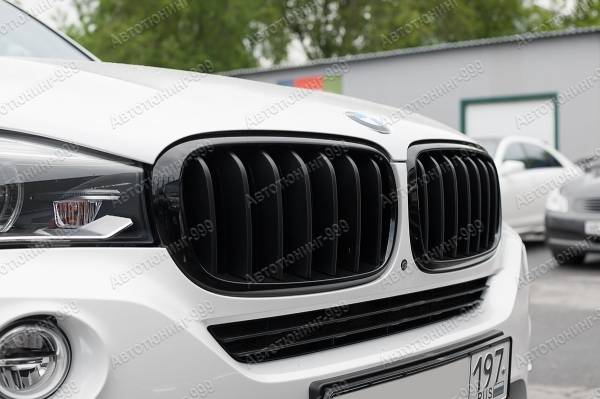 Решетка (ноздри) Performance на BMW X5 (F 15)